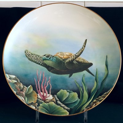 海龜
