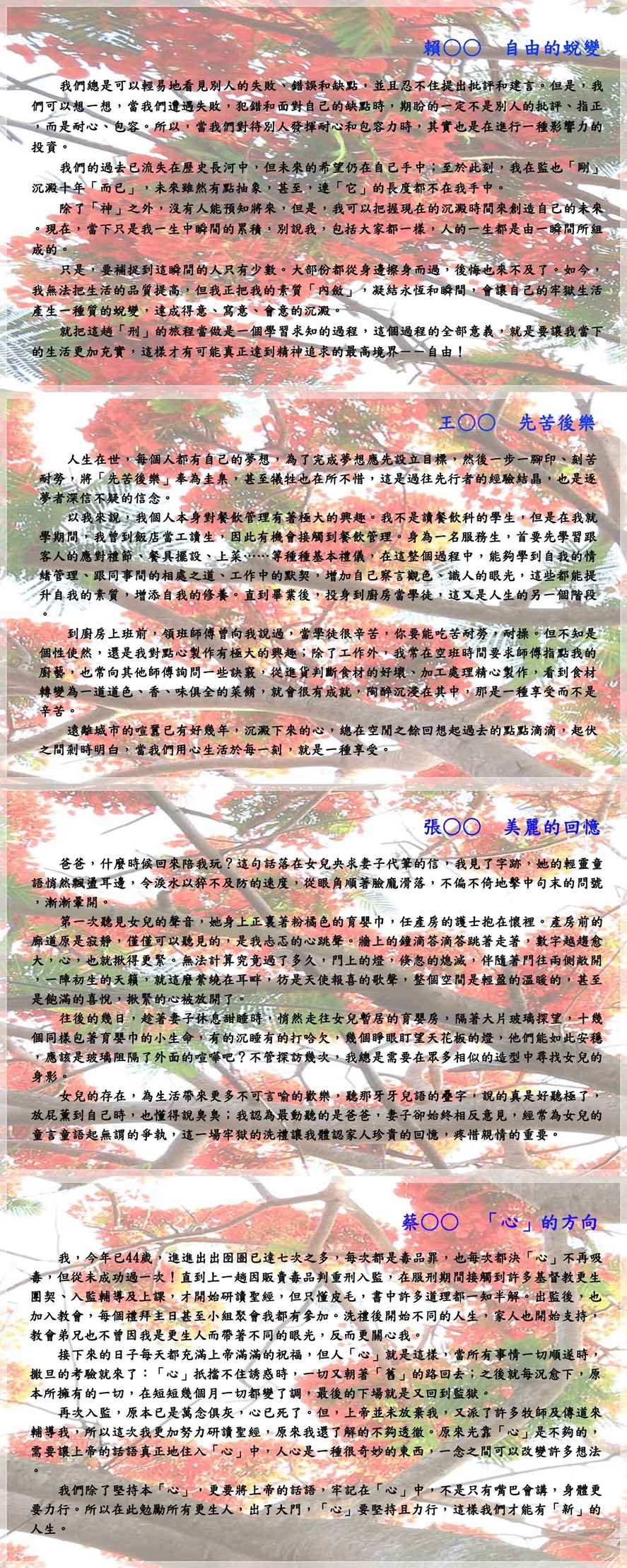 澎鼎雙月刊235期